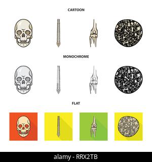 skull,spine,femur,osteoporosis,death,chiropractic,bony,cell,monster ...
