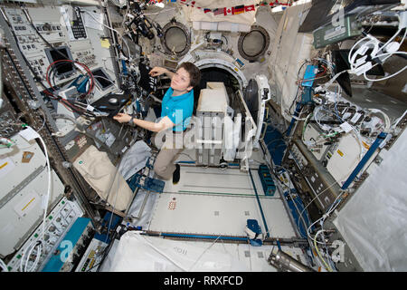 NASA astronaut Anne McClain works inside the Japanese Kibo laboratory aboard the International Space Station January 30, 2019 in Earth Orbit. Stock Photo