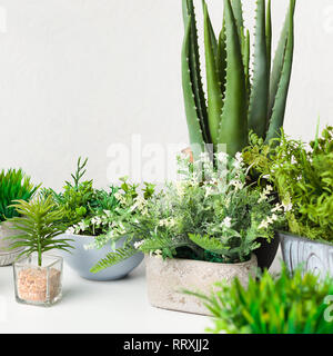 Various artificial house plants in different pots over white wall Stock Photo