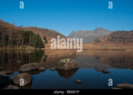 The Langdale Pikes reflected in Blea Tarn on a clear day, Lake District, UK Stock Photo