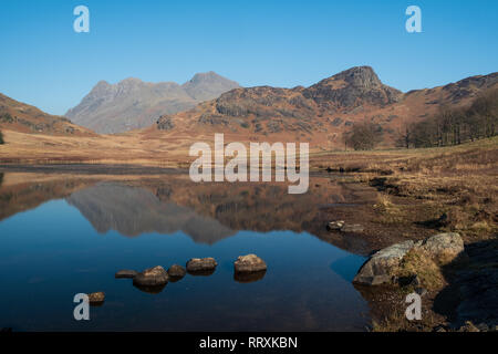 The Langdale Pikes and Side Pike reflected in Blea Tarn, Lake District, UK Stock Photo