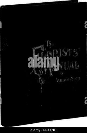 . Florists' review [microform]. Floriculture. NOVEMBEB 21, 1012. The Florists^ Review 77 1 A SHIPPING TEST MILADY Was awarded Certificate of Merit at the St. Paul, Minn., Flower Show. These blooms were nearly three days in transit. Our rose plants have been shipped to British Columbia and California, arriving in perfect condition. Young stock is a business with us. Let us grow your plants for next spring's planting. A. N. PIERSON,lBc., Cromwell, Conn.. iTHE IDEALi CHRISTMAS GIFT The Florists' Manual A Business Book for Business Men SECOND EDITION Tborouclily Revised and Brouatat Up to Date No  Stock Photo