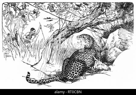 African animals illustration, drawing, engraving, ink, line art Stock