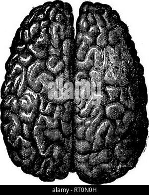 . Public school physiology and temperance [microform]. Physiology ...