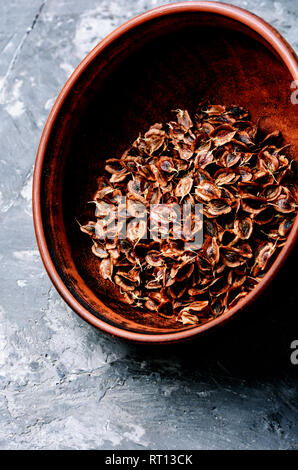 Rhubarb seeds on a slate table.Seed preparation for sowing Stock Photo