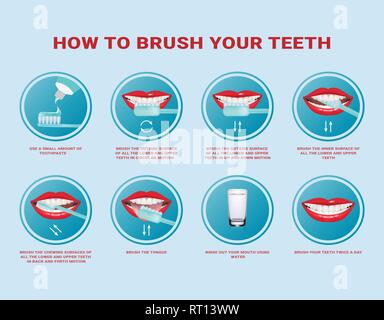 How to brush your teeth step-by-step instruction. Toothbrush and toothpaste for oral hygiene. Clean white tooth. Healthy lifestyle and dental care. Stock Vector