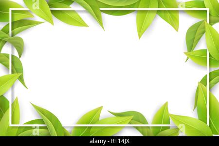Green leaves on white background. Place for text. Stock Vector