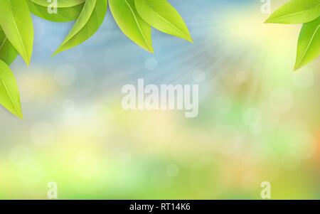 Green juicy leaves on a blurred background. Stock Vector