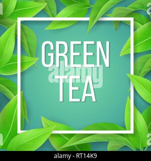 The leaves of green tea natural background. Stock Vector