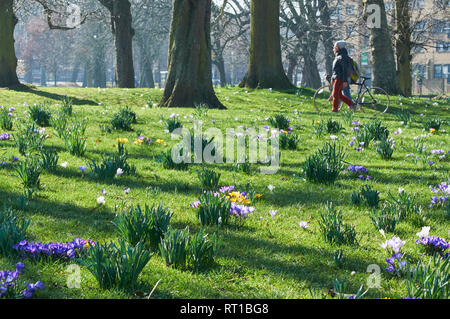 Clissold Park, Stoke Newington, North London, UK. 27th Feb 2019. On the morning of 27th February 2019, with snowdrops springing up in the grass and passers by, during the very warm weather of late February 2019 Credit: Richard Barnes/Alamy Live News