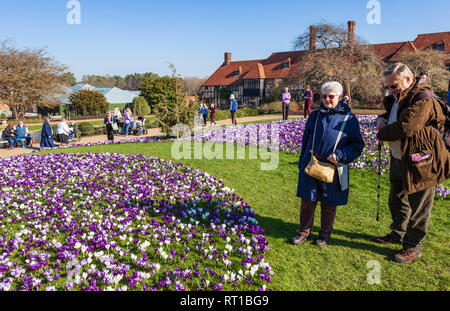 Wisley RHS Gardens, Surrey, England, UK. 27th February 2019. Crowds flock to see the magnificent display of crocuses in unseasonably warm spring sunshine. Credit: Tony Watson/Ģ����ý Live News Stock Photo