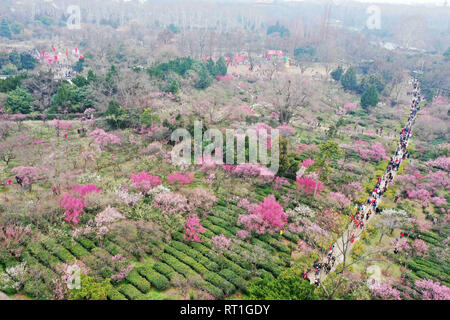 Nanjin, Nanjin, China. 28th Feb, 2019. Nanjing, CHINA-People enjoy plum ...