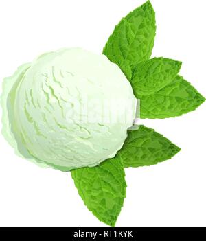 Mint green ice cream with mint leaves isolated on white background, top view Stock Vector