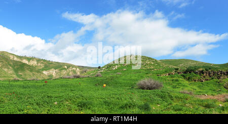 Landmine warning sign in the Golan Heights. Stock Photo