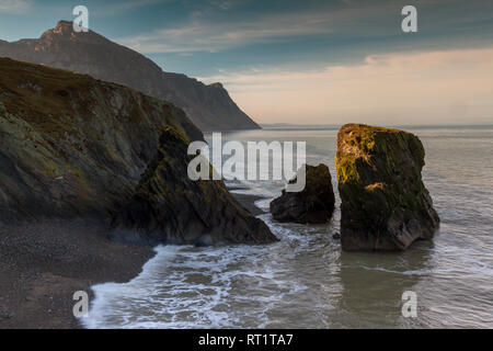 Sea stacks at Trefor on the Llyn Peninsula, Wales, at dawn Stock Photo