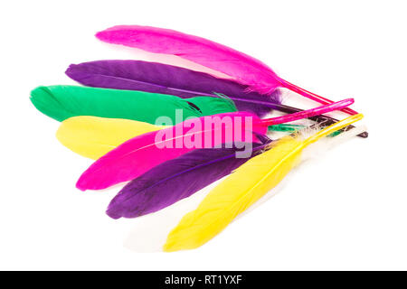 Colorful feathers isolated on white background Stock Photo