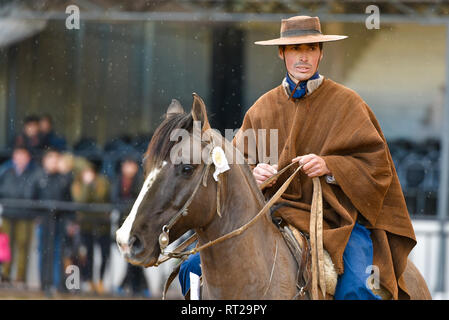 Buenos Aires, Argentina - Jul 16, 2016: A gaucho cowboy riding a horse during a show at the Rural Exhibition. Stock Photo