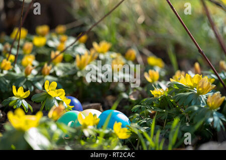 hidden easter eggs behind flowers Stock Photo