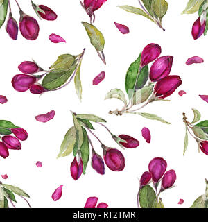 Watercolor seamless floral pattern. Hand drawn blossom apple flowers, isolated on white. Stock Photo