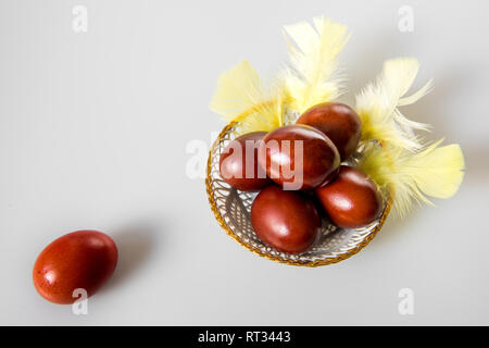 Easter painted brown eggs on a white background Stock Photo