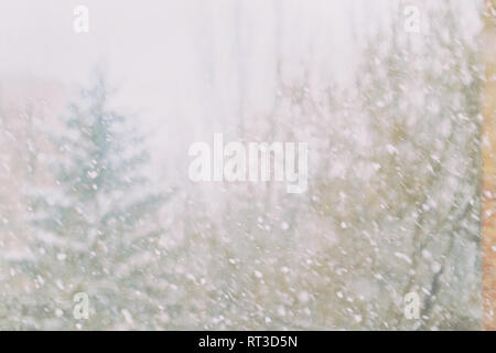 Falling snow on the background of trees Stock Photo