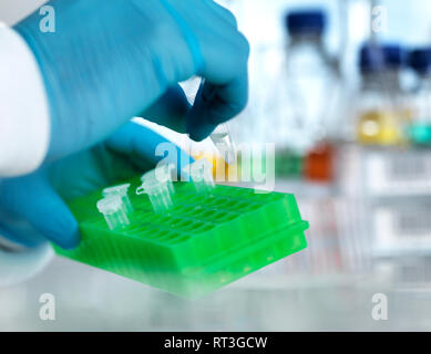 Scientist preparing DNA samples ready for genetic testing in a laboratory Stock Photo
