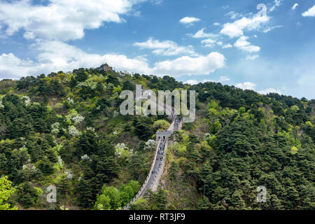 Tourists hike along The Great Wall Of China at Mutianyu as it rises steeply over a mountain to the watchtower at the top. Thick forest on either side. Stock Photo