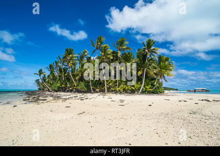 Cook Islands, Rarotonga, Aitutaki lagoon, white sand beach and palm beach Stock Photo