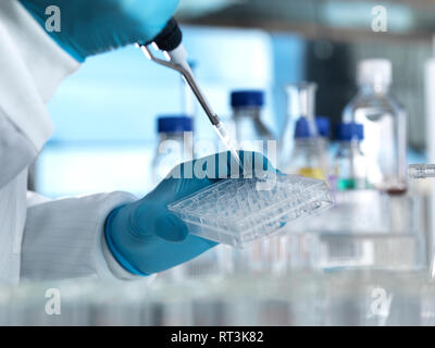 Scientist pipetting a DNA sample into a multi well plate ready for genetic testing in a laboratory Stock Photo