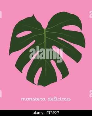 Green Monstera Deliciosa Tropical Leaf. Flat Vector Illustration Isolated on Pink background Stock Vector
