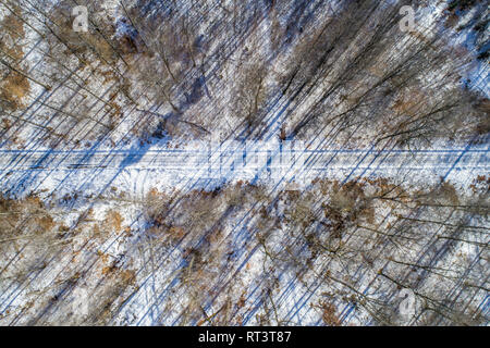 Straight road through winter forest - Aerial view, Germany Stock Photo