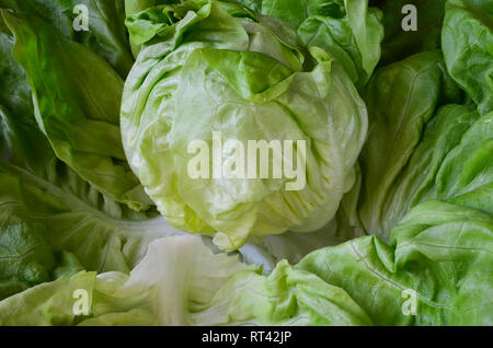 Full frame of fresh, green, organic and healthy lettuce, close up view Stock Photo