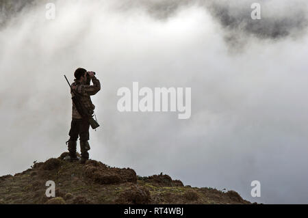 hunter looking for game animals such as chamois, deer or tahr, in  South Westland's Southern Alps, New Zealand Stock Photo