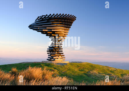 The Singing, Ringing, Tree at Burnley in Lancashire Stock Photo