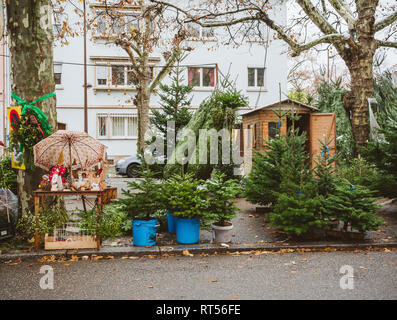 STRASBOURG, FRANCE - DEC 4, 2017: Christmas tree sale at the farmer market in central Strasbourg with evergreen fir trees from Alsace Stock Photo