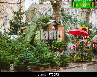 STRASBOURG, FRANCE - DEC 4, 2017: Christmas tree sale at the farmer market in central Strasbourg with evergreen fir trees from Alsace - senior woman seller preparing crowns and trees for clients Stock Photo