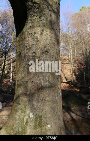 Graffiti on tree trunk Stock Photo