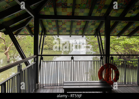 SINGAPORE - December 2018: View to the beautiful nature from inside the Mangrove Walk Pavilion, Sungei Buloh. Stock Photo