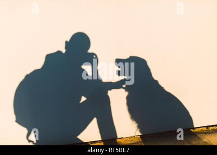 Shadow of a photographer and dog on a white wall Stock Photo