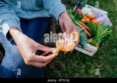 Woman peeling a tangerine, taking a break in a vegetable garden