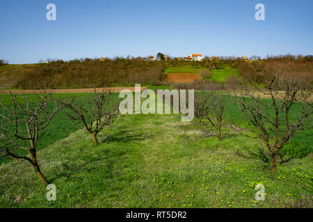 Beautiful arable land in Vojvodina, orchards and agricultural land near the Fruska Gora, Serbia fertile ground Stock Photo