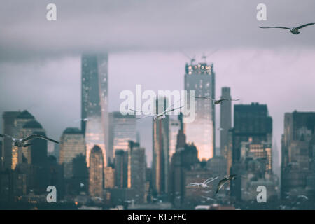 USA, New York, Panorama of Manhattan skyline, birds fly Stock Photo