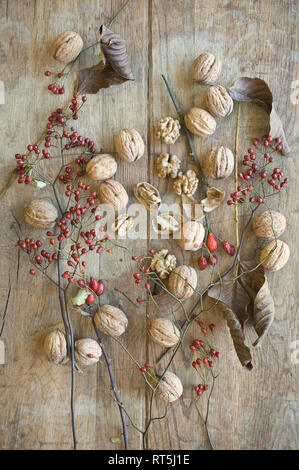Whole and cracked organic walnuts, leaves and roseships on wood Stock Photo