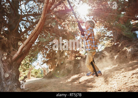 Boy swinging on a rope in backlight Stock Photo