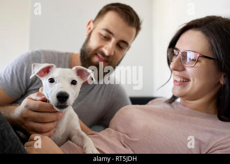 Couple having fun with their dog at home Stock Photo