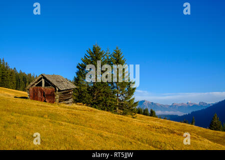 Germany, Bavaria, Swabia, Allgaeu Alps, Oberallgaeu, near Grasgehren, small hut and Hochvogel mountain Stock Photo