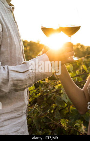 Italy, Tuscany, Siena, close-up of couple clinking red wine glasses in a vineyard at sunset Stock Photo