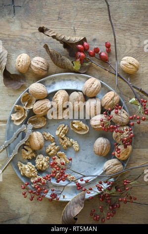 Whole and cracked organic walnuts, roseships and nutcracker on tin plate Stock Photo