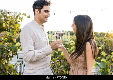 Italy, Tuscany, Siena, smiling young couple clinking red wine glasses in a vineyard Stock Photo