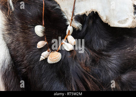 Primitive man necklace made of small seashells on a leather string. Cave-man wear made from a furry animal skin Stock Photo